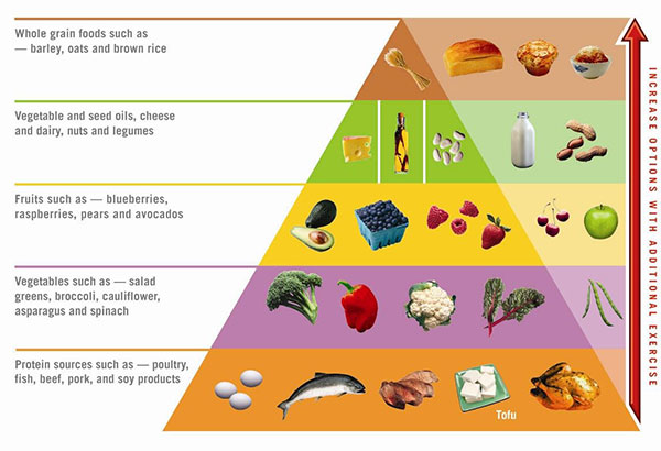 The Atkins Diet - food.fitness